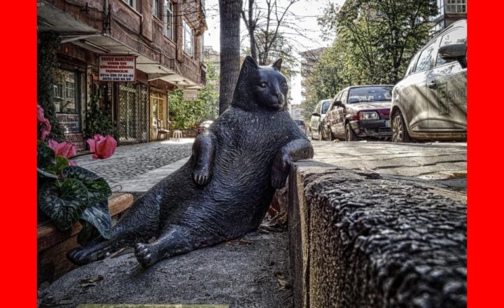 The Psychology of Gadget Addiction