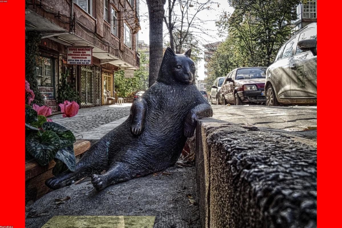 Automation and side business