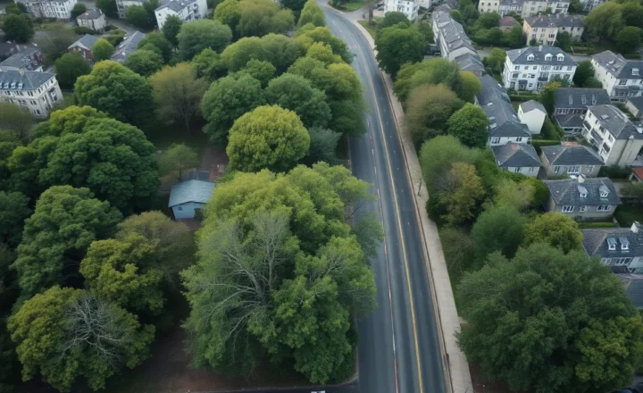 How Urban Tree Canopy Mapping Is Becoming a Public Health Tool