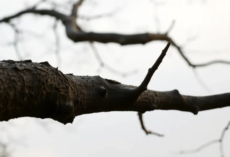 A Coding Agent on a Branch vs on Main: The Habit That Makes a Bad Edit Recoverable